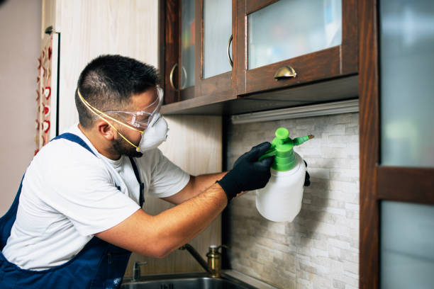 Best Local Pest Control Services  in Tropical Park, FL